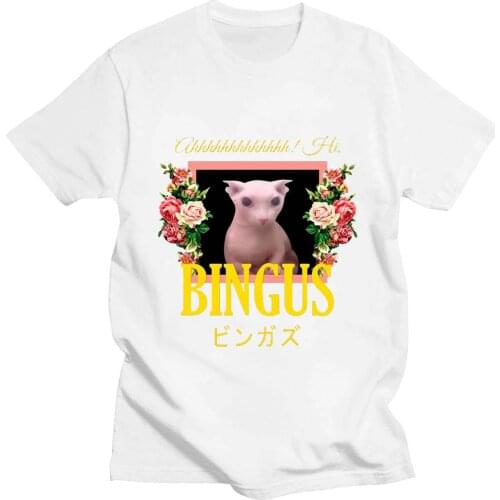 Bingus Floral Aesthetic Art T-shirt Meme Bingus Cat Print High-Quality Men And Women Same Style T-shirt