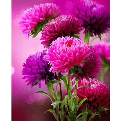 Paints By Numbers Flower Romantic Fuchsia 60x75cm Pictures Oil Painting By Numbers Set Gift Coloring By Numbers Canvas Wall Set