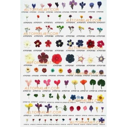 2000pcs/ vacuumize bag dried flowers professional pressed flower Free shipping