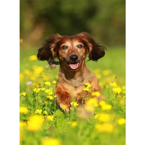 NEW Arrival 5D DIY Diamond Painting Animal dog Diamant Mosaic Embroidery landscape Needlework Cross Stitch Home Decor P1116