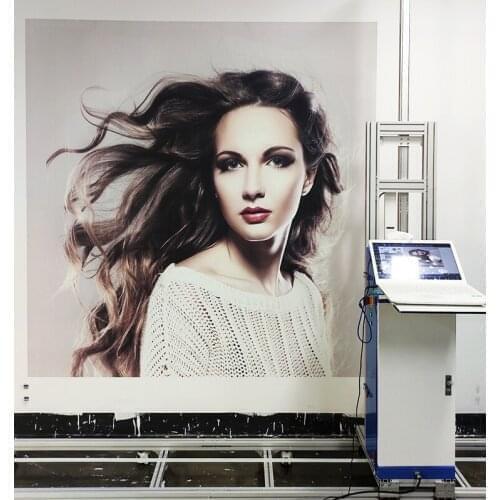 Hot Sale Product Direct To Wall Painting Machine 3D Vertical Wall Printer