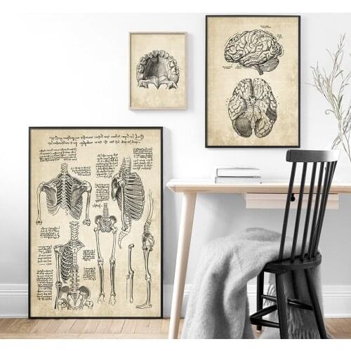 Wall Art Canvas Painting Anatomy Skeleton Nordic Posters And Prints Vintage Pictures For Hospital Doctor Office Decor