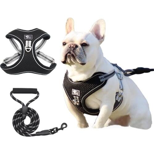 QIANAOSE Collars, Harnesses And Leashes
