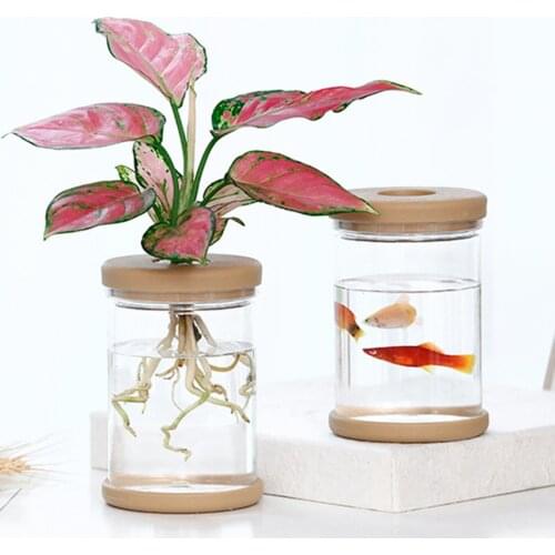 2PCS Clear Hydroponic Flower Pot For Automatic Water-absorbing Imitation Glass Soilless Planting Small Potted Plants