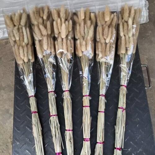 50pcs Dried Flower Bunny Tail Natural Plants Floral Grass Rabbit Decoration Bouquet Flores Photography Props Home Accessor