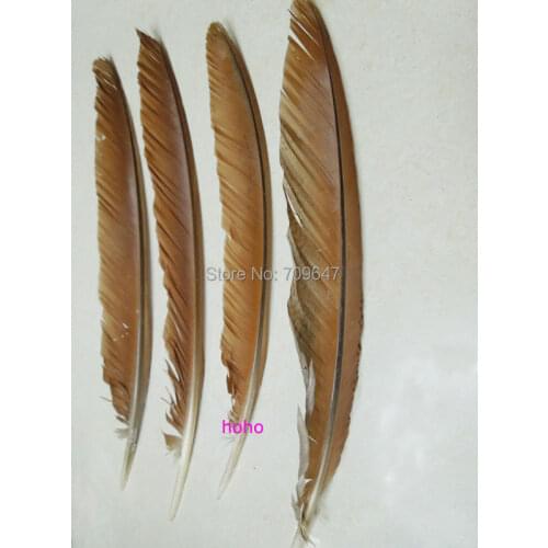 50Pcs/lot!6-12inches Brown&Black Peacock Flight Quill Feathers,Brown Peacock Quills,Peacock feathers