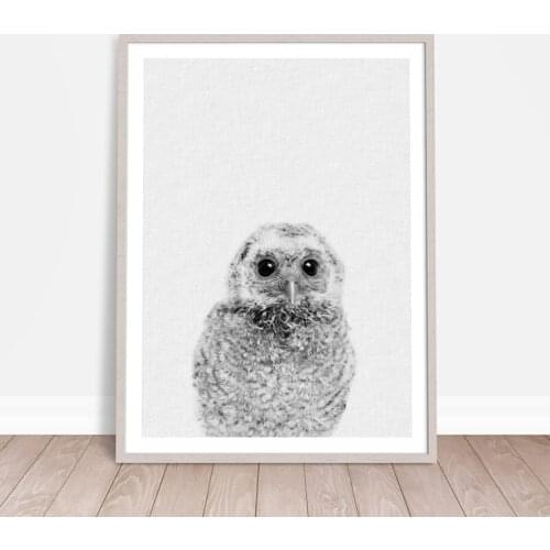 Cute Animal Owl Canvas Painting Wall Picure Nursery Decor, Hairy Little Owl Canvas Print Poster Kids Room Wall Art Decor