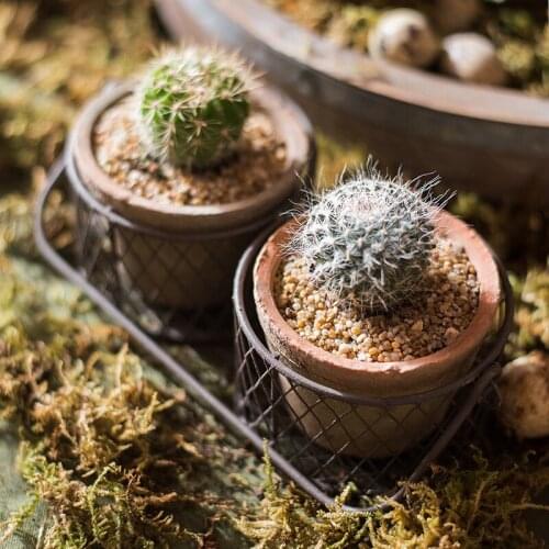 Nordic Hanging Flower Pots Terracotta Clay Vintage Antique Cactus Succulent Bonsai Table Plant Vase Maceteros Decoration Balcon