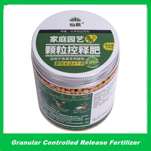 Imported 60 grams Release Fertilizer Granules Slow-release Fertilizer Suitable for Home Garden Flower Vegetable Plant