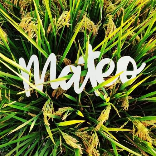 Custom Wooden Name Sign Baby Letters Name Wooden Party Decor Wood Wall Art Personalized Wooden Signs Craft