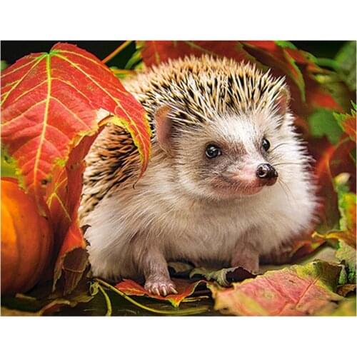 Wall Sticker Diy 5D Diamond Mosaic hedgehog animal Diamond Painting Cross Stitch Kits square round Embroidery Handmade YG732