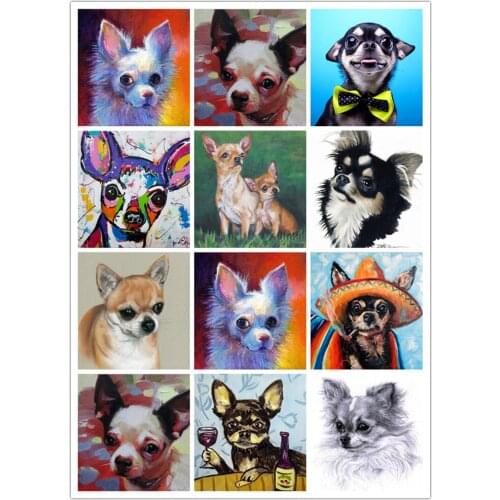 Full drill 5D DIY diamond embroidery chihuahua face square diamond painting Cross Stitch cute dog Rhinestone mosaic home decor