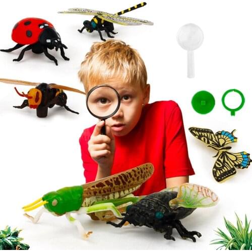 Childrens science education cognitive model simulation insect ladybug dragonfly cicada doll toy zoo decoration child learning