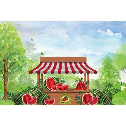 Watermelon Stall Baby Shower Photography Background Holiday Celebration Party Decor Photo Booth Studio Prop
