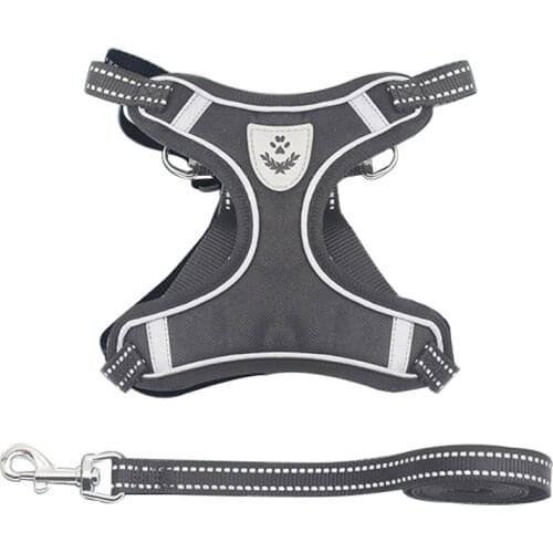 Ошейники, шлейки и поводки Ishiline China At AliExpress