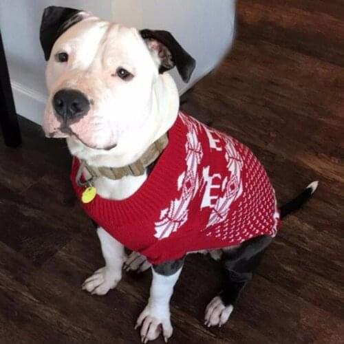 Winter Christmas Snowflakes Cat Dog Clothes Warm Christmas Sweater for Small Dog Pet Clothing Knitting Crochet Clothes Hot Sale