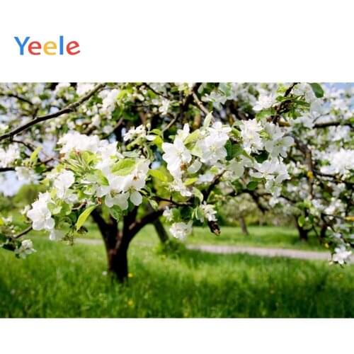 Spring Flower Tree Park Garden Nature Scenery Baby Shower Vinyl Backdrop Photography Background For Photo Studio Photophone Prop