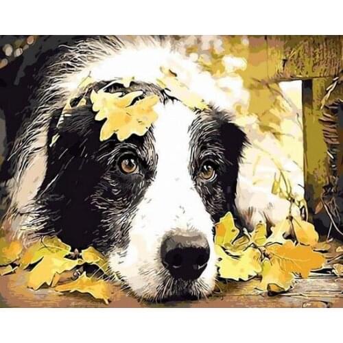 MaHuaf-W1471 dog and leaves painting by numbers cuadros decoracion wall art decor pictures for living room