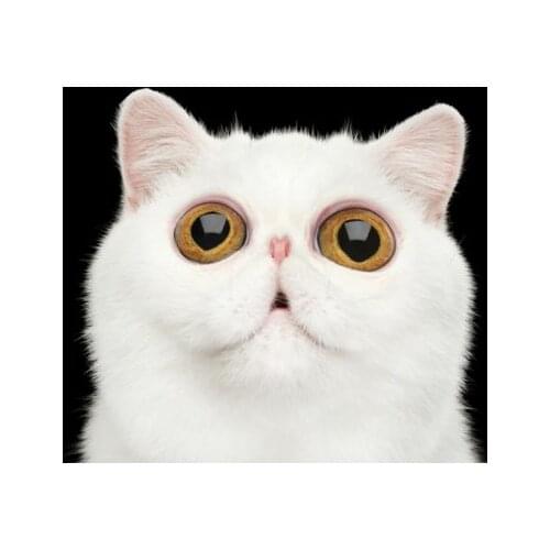 Женские джинсовые шорты Zaras China At AliExpress