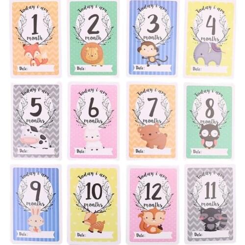 12 Sheet Milestone Photo Sharing Photo Photo Gift Cards Cards, Baby Age Set Newborn Milestone Cards Baby - Cards Baby