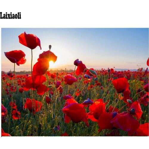 Diamond Embroidery Red Poppy sunset landscape Needlework 5D DIY Diamond Painting Flower sea Full Square Rhinestone Mosaic Decor