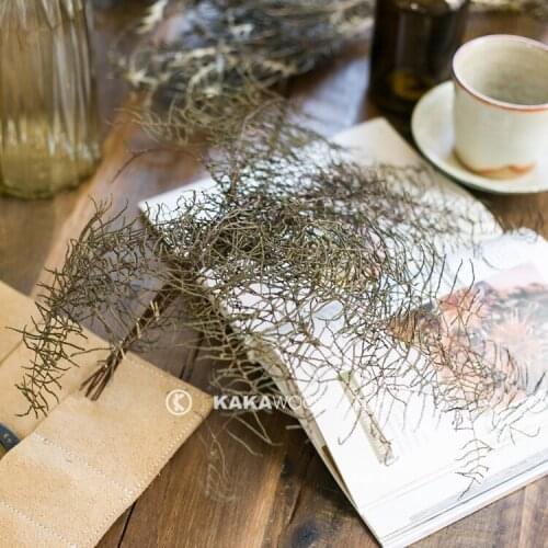 Imported Natural Dried Flowers Dried Branches Flower Arrangement Decorative Grass Plants Coral Grass Soft Window Accessories