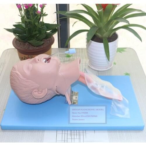 ISO Certification Intubation Children Training Model,Endotracheal Intubation Practice Model,Children Intubation Model