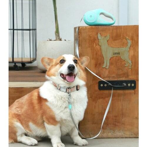 3/5m Luminous Durable Dog Leash Automatic Retractable Nylon Cat Lead Extension Puppy Walking Running Lead Roulette For Dogs