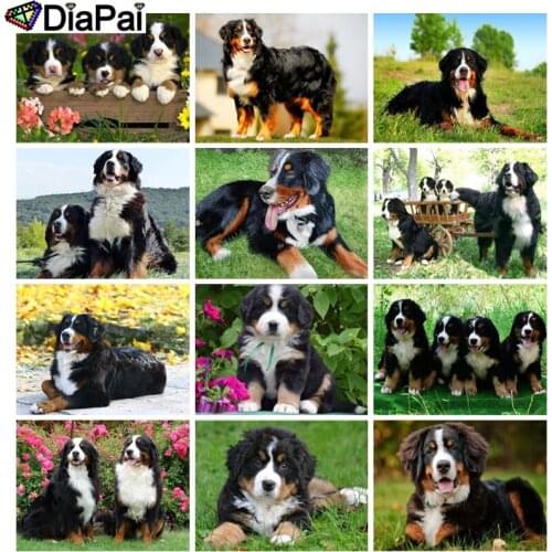 DIAPAI DIY 5D Diamond Painting "Animal dog landscape" Full Diamond Embroidery Sale Picture Of Rhinestones For Festival Gifts