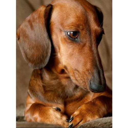 Animal Dog DIY Cross Stitch Embroidery 11CT Kits Needlework Craft Set Printed Canvas Cotton Thread Home Decoration On Sale