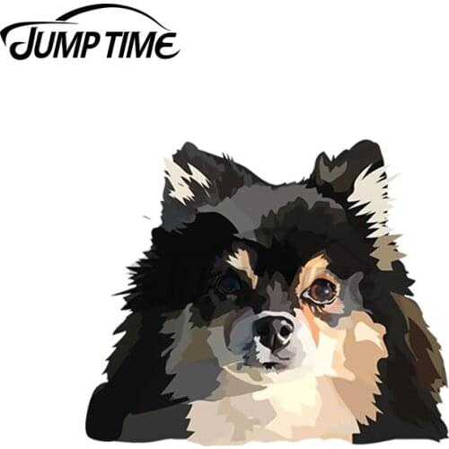JumpTime 13 x 3.5cm For Pomeranian Pup Personality Stickers Vinyl Car Sticker Car Accessories Refrigerator Decals Waterproof