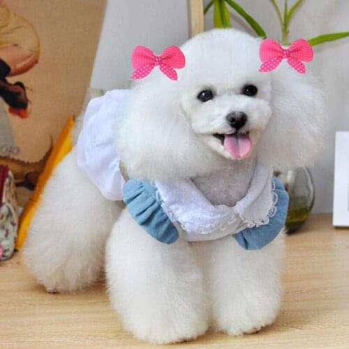 10pcs Dog Cat Hairpins Hair Clips Puppy Dogs Cat Teddy Pet Hair Decor Pet Supplies Pet Grooming Hair Clip Accessories