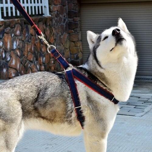 Hot High Quality collar stereotyped rope Wear-resisting Cowboy sewn Traction Rope Chest straps Collar Set Jean Harnesses For Dog