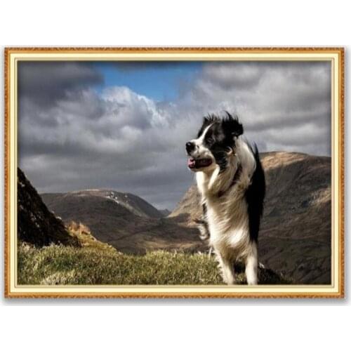 Animal Border Collie DIY Cross Stitch 11CT Embroidery Kits Needlework Craft Set Printed Canvas Cotton Thread Decoration On Sale