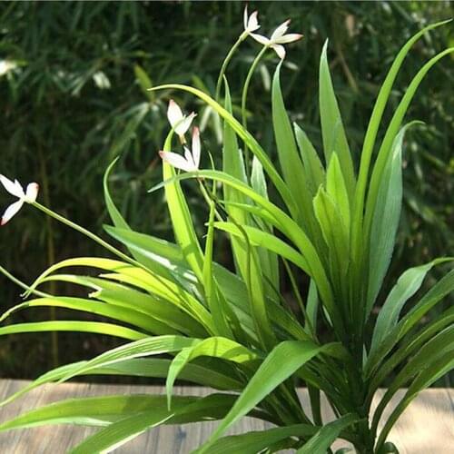 26 Leaf 34cm Plastic Artificial Orchid Evergreen Plant Tree Wedding Home Office Furniture Decor No Vase Green F5320