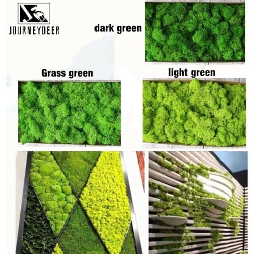 Artificial plant Green Natural Moss Lasting Preserved Home Garden stage background Wedding Decoration supplies Moss Flowers