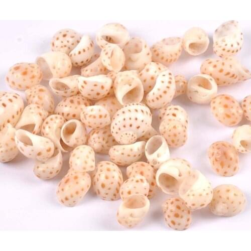 20pcs Natural speckle Shell Beads Nonporous beads for Hand decorated home furnishings and aquarium accessories 12-17mm