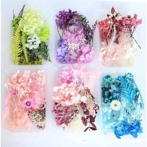 1 Box Real Dried Flower Real Fresh Plants Christmas Aromatherapy Candle Epoxy Resin Pendant Jewelry Making Craft DIY Accessories
