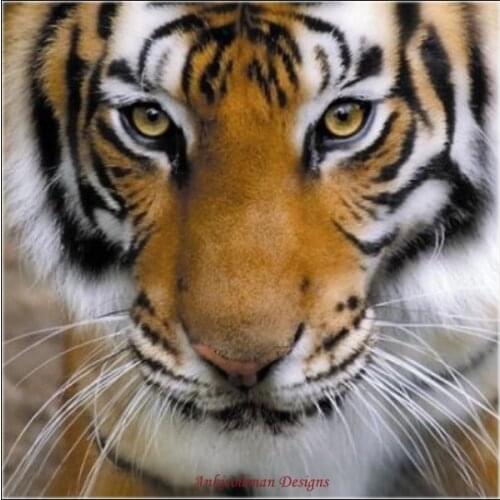 Needlework for embroidery DIY French DMC High Quality - Counted Cross Stitch Kits 14 ct Oil painting - Tiger