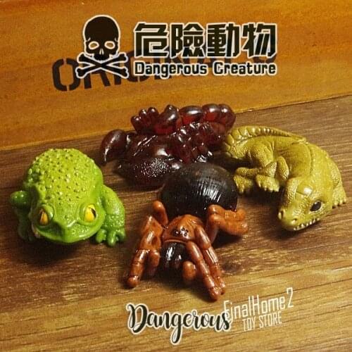 Pvc figure model toy Dangerous animal, five poison, poisonous cockroach, cockroach, gecko, spider, insect 4pcs/set