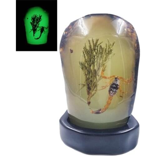 Real Scorpion Accessory Ambers Resin Luminous scorpions Statue Hand ornaments home Decoration