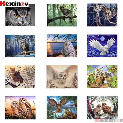 KEXINZU 5D Diamond Painting Full Square Owl Cross Stitch Diamond Embroidery Animals Rhinestones Art Decoration For Home