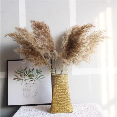 Reed Dried Pampas Grass Decoration Wedding Bouquet Natural Plants Home Christmas Decorations 2021