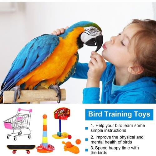 1set Parrot Toys Intelligence Training Bird Cage Toys Basketball Skateboard Mini Shopping Cart Pet Products Ball Toys Home Tools