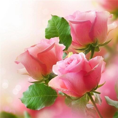 SNA diamond painting Gift 5D Diy Full Square/Round Stone Bead Drill Diamond Embroidery Cross Stitch kit