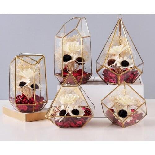 Nordic Decoration Home Glass Vase Glass Cover Dried Flower Micro Landscape Flower Vase Crafts Home Decoration Accessories Modern