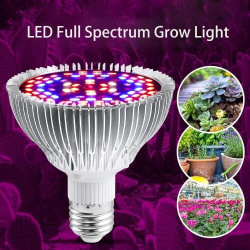 Aibik Professional Lighting