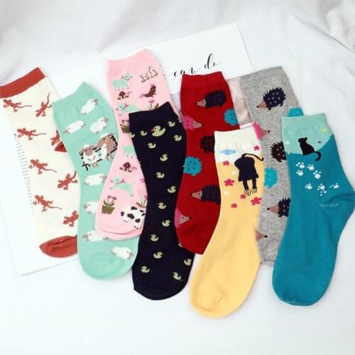 Fashion Happy Funny Socks Cotton Soft Sox Beautiful Curve Women Ladies Girls Harajuku bird puppy cat Art ankle Socks