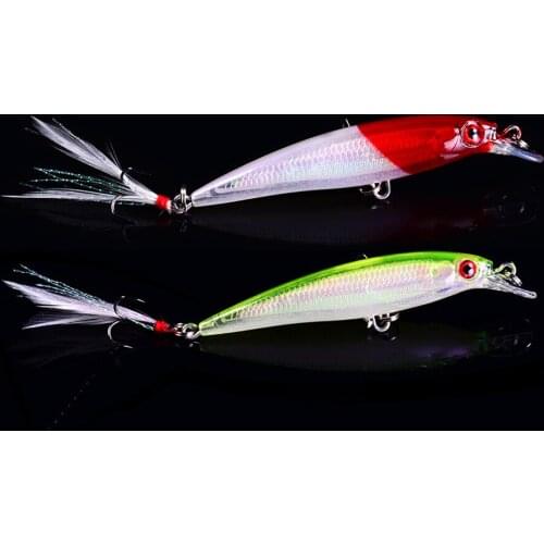 BALLEO Fishing Lure For Carp