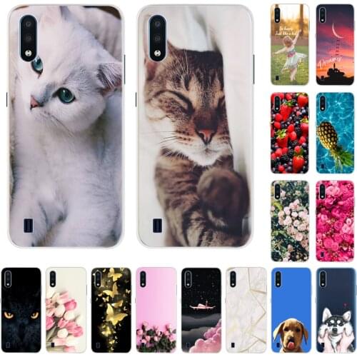 For Samsung Galaxy A01SM-A015F/DS Cases Silicone Soft TPU Painted Back Cover For Funda Samsung A01 SM-A015M/DS Phone Case 5.7"
